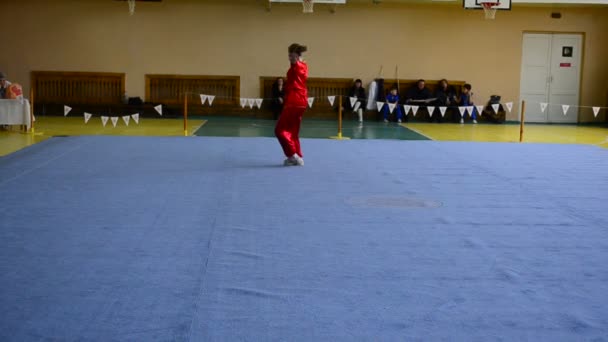Berdyansk Ucrania Marzo Campeonato Wushu Abierto Región Zaporizhia Marzo 2016 — Vídeos de Stock