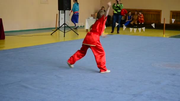 Berdyansk Ukraine Μαρτιου Ανοιχτό Πρωτάθλημα Wushu Στην Περιοχή Zaporizhia Στις — Αρχείο Βίντεο