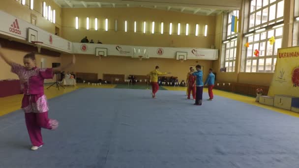 Berdyansk Ucrania Marzo Campeonato Wushu Abierto Región Zaporizhia Marzo 2016 — Vídeo de stock