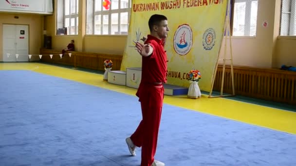 Berdyansk Ukraine Mart 2016 Zaporizhia Bölgesi Wushu Açık Şampiyonası — Stok video