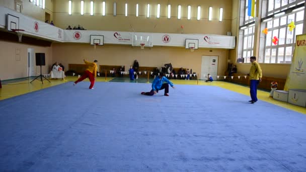 Berdyansk Ukraine Mart 2016 Zaporizhia Bölgesi Wushu Açık Şampiyonası — Stok video