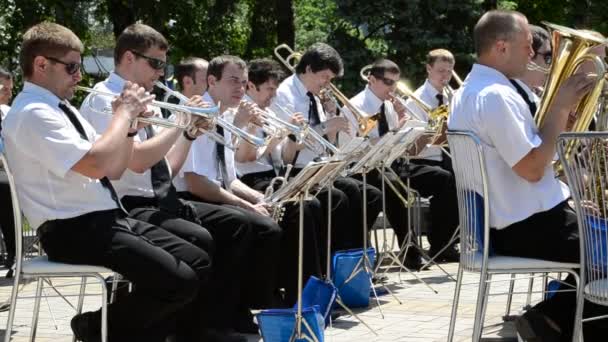 Orchestra Shooting Летом — стоковое видео