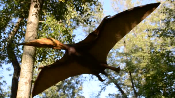 Exhibition Dinosaurs Shooting Summer — Stock Video