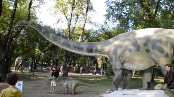 Tentoonstelling Van Dinosaurussen Diplodocus — Stockvideo