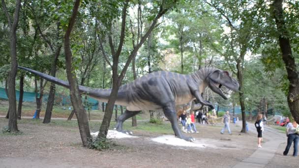 Exposição Dinossauros Allosauro — Vídeo de Stock