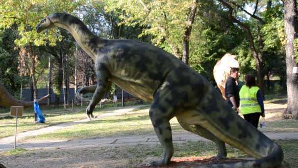 Ausstellung Von Dinosauriern Allosaurus — Stockvideo