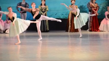 DONETSK, UKRAINE - 25 Mart 2012 tarihinde Kuğu Gölü 'nün Donetsk Ulusal Akademik Opera ve Bale Tiyatrosu' nda sahnelenmesi.