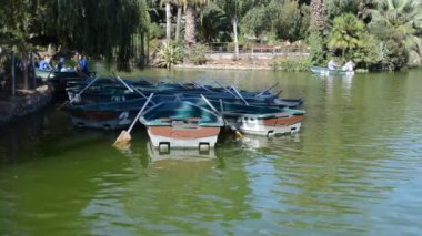 Barcelona Ciudadela Parkı. Barselona, İspanya.