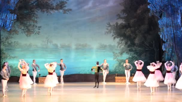 Donetsk Ukraine March Performance Swan Lake Archived 2012 Donetsk National — 비디오