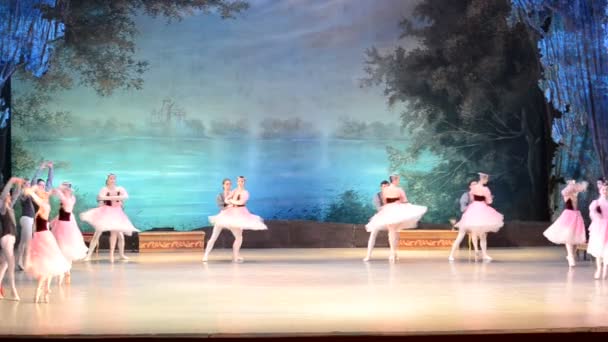 Donetsk Ukraine March Performance Swan Lake March 2012 Donetsk National — 图库视频影像