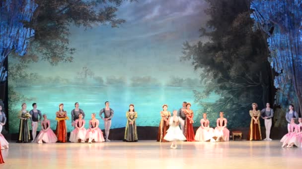 Donetsk Ukraine March Performance Swan Lake March 2012 Donetsk National — 图库视频影像