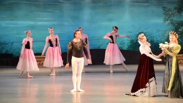 Donetsk Ukraine March Performance Swan Lake March 2012 Donetsk National — 图库视频影像