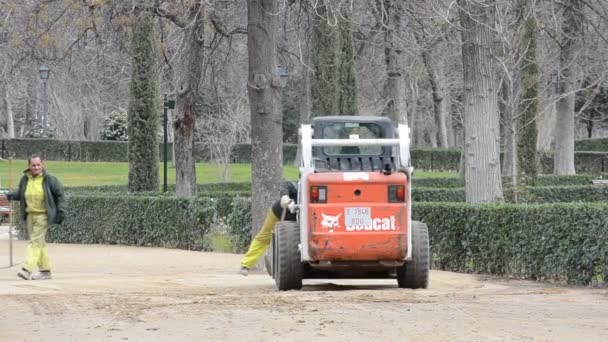 Park Retiro Madrid Spanien Parken Den Nya Vägen För Turister — Stockvideo