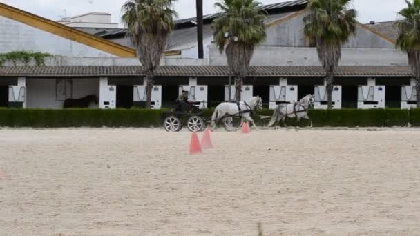 Jerez Frontera España — Vídeos de Stock