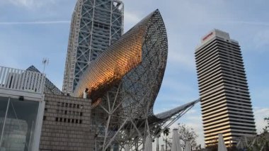 Barcelona 'nın Liman Olimpiyatları' ndaki palmiye püsküllü plaj. Barselona, İspanya.