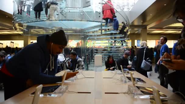 Unknown People Apple Store 5Th Avenue Shop New York Manhattan — Stock Video