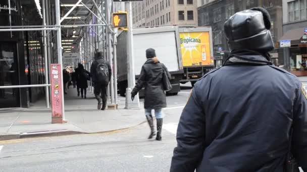 Turistin Manhattan Gözleri Çekimler New York Abd — Stok video