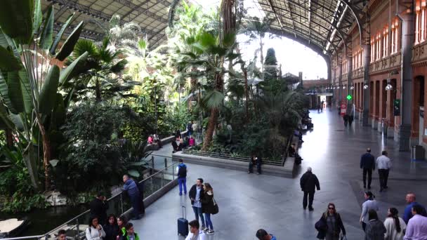 Madrid Spain April 2018 Unknown People Atocha Railway Station Atocha — ストック動画