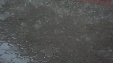 Şehirde yağmur yağıyor. Kaldırıma yağmur damlaları düşüyor..