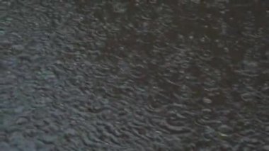Şehirde yağmur yağıyor. Kaldırıma yağmur damlaları düşüyor..