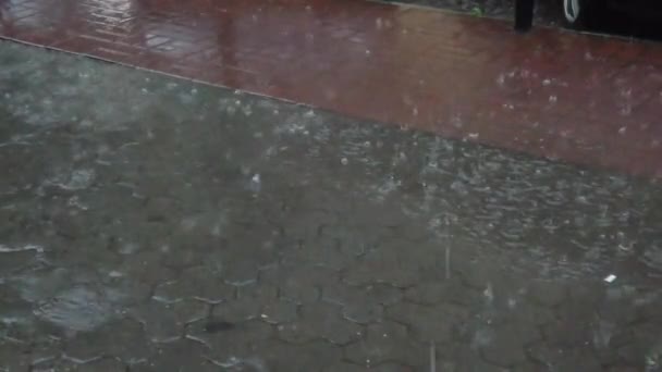 Esik Eső Városban Esőcseppek Hullanak Járdára — Stock videók