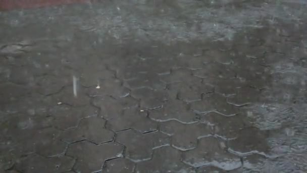 Esik Eső Városban Esőcseppek Hullanak Járdára — Stock videók