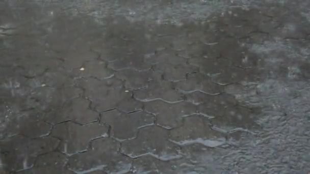 Chuva Cidade Quedas Chuva Caem Calçada — Vídeo de Stock