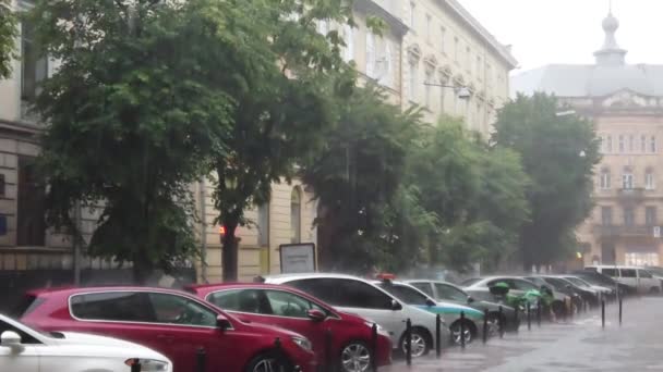 Straat Van Stad Tijdens Regen — Stockvideo