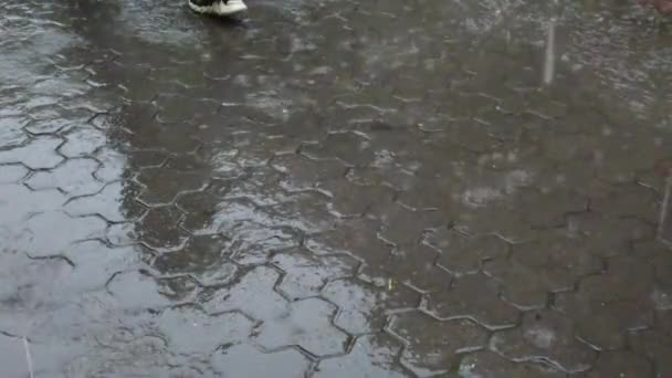 Pluie Dans Ville Des Gouttes Pluie Tombent Sur Trottoir — Video