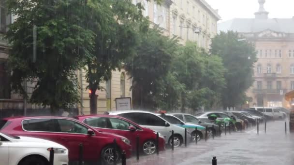 Lviv Ukraine Juni 2020 Straat Van Stad Tijdens Regen — Stockvideo