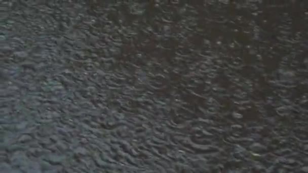 市内で雨 歩道に雨が降る — ストック動画