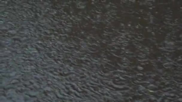 Pluie Dans Ville Des Gouttes Pluie Tombent Sur Trottoir — Video