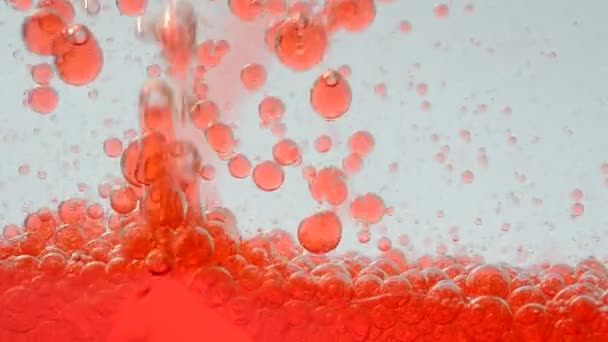 Achtergrond Van Bubbels Beweging Van Bellen — Stockvideo