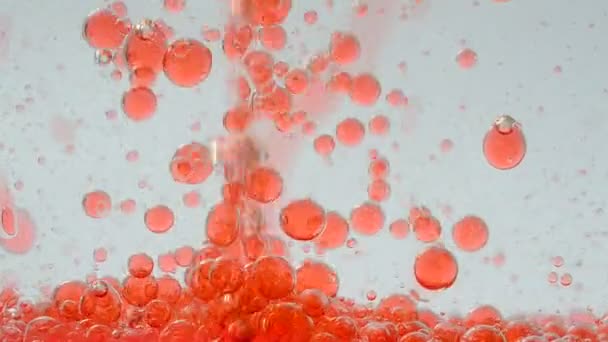 Hintergrund Sind Blasen Bewegung Von Blasen — Stockvideo