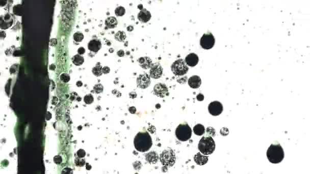 Achtergrond Van Bubbels Beweging Van Bellen — Stockvideo