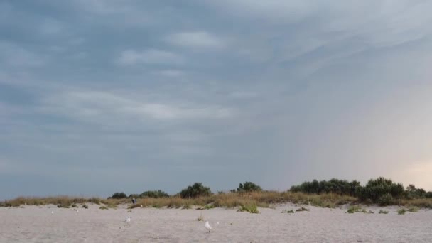 Bliksem Lucht Filmen Zomer — Stockvideo