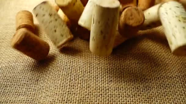 Falling Wine Corks Wine Bottles Bag Slow Motion — Stock Video