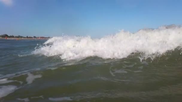 Chica Surfista Surfeando Tabla Surf Las Olas — Vídeo de stock