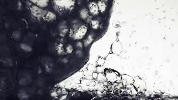 Background Bubbles Motion Bubbles — Stock Video