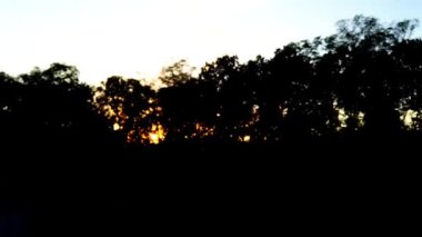 Kırsal bölgelerdeki ağaçlar günbatımı ışınlarının arka planına karşı.