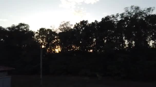 Trees Rural Areas Background Sunset Rays — Stock Video