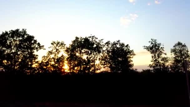 Bomen Het Platteland Tegen Achtergrond Van Zonsondergang — Stockvideo