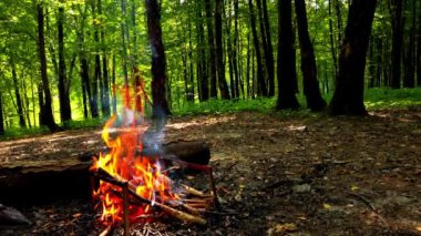 Ormanda ateş etmek..