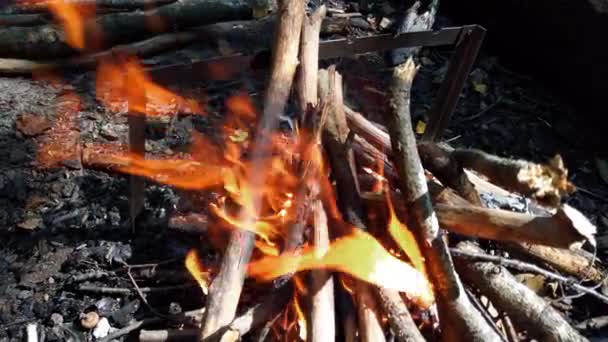 Disparando Incendio Bosque — Vídeos de Stock