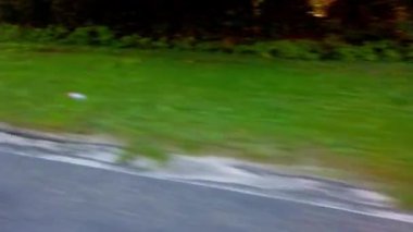 Kırsal alanın manzarası. Yazın film çekmek..