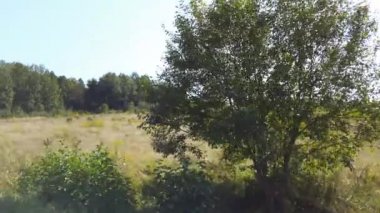Kırsal alanın manzarası. Yazın film çekmek..