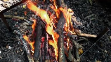 Ormanda ateş etmek..