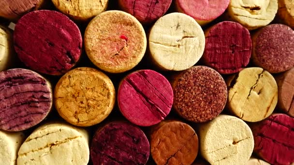 Background Wine Corks Shooting Motion — Stock Video