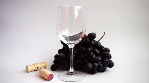 Ρίχνουμε Κρασί Ένα Ποτήρι Πάνω Λευκό Φόντο — Αρχείο Βίντεο