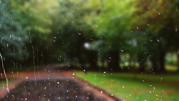 雨の中 秋の公園でぬれた道 窓からの眺め — ストック動画